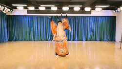 8488448177b0a1b783c030c8ae5dc4f3_1[00-00-00--00-00-11].gif