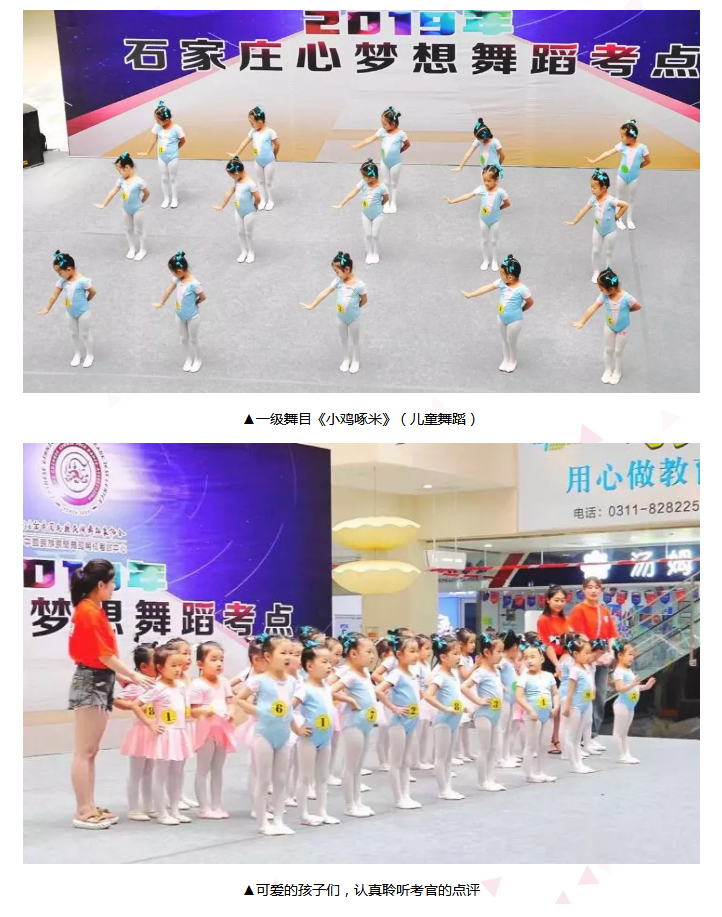 心怀梦想·展翅翱翔-_-石家庄考区中国民族民间舞蹈学生考级展演精彩回顾_09.jpg