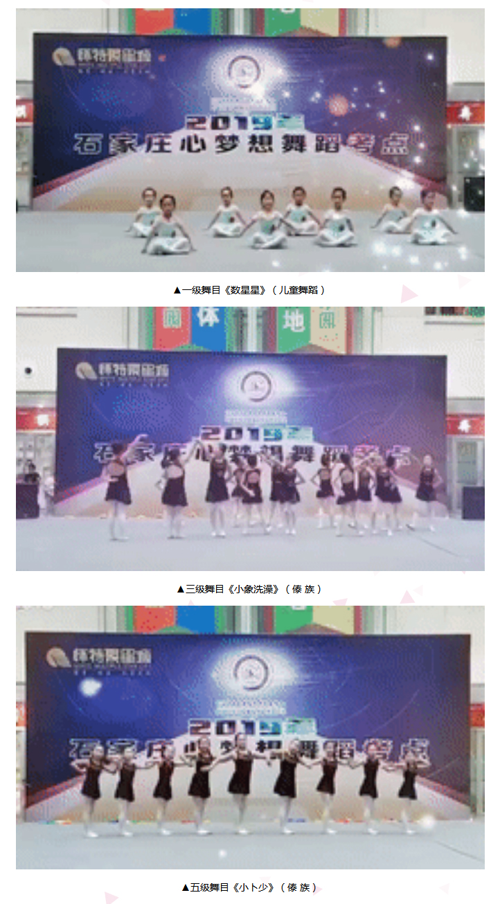 心怀梦想·展翅翱翔-_-石家庄考区中国民族民间舞蹈学生考级展演精彩回顾_19.jpg